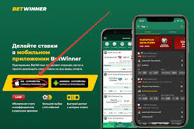Everything You Need to Know About Betwinner 1