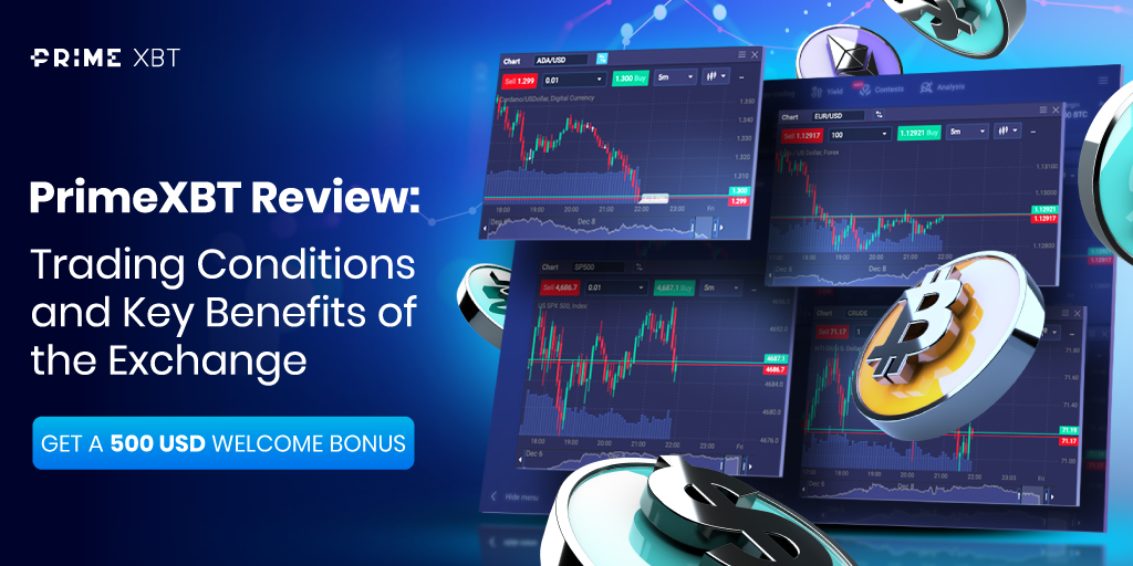 Comprehensive Guide to PrimeXBT Forex Education Comprehensive Guide to PrimeXBT Forex Education